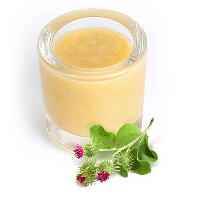 Мед осотовый от магазина пчеловодства Lyson.by