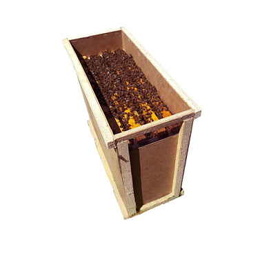 Пчелопакет "Бакфаст"