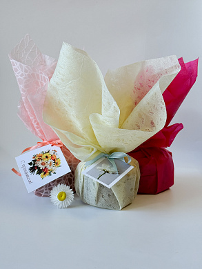 Подарочный набор 250гр. от магазина пчеловодства Lyson.by